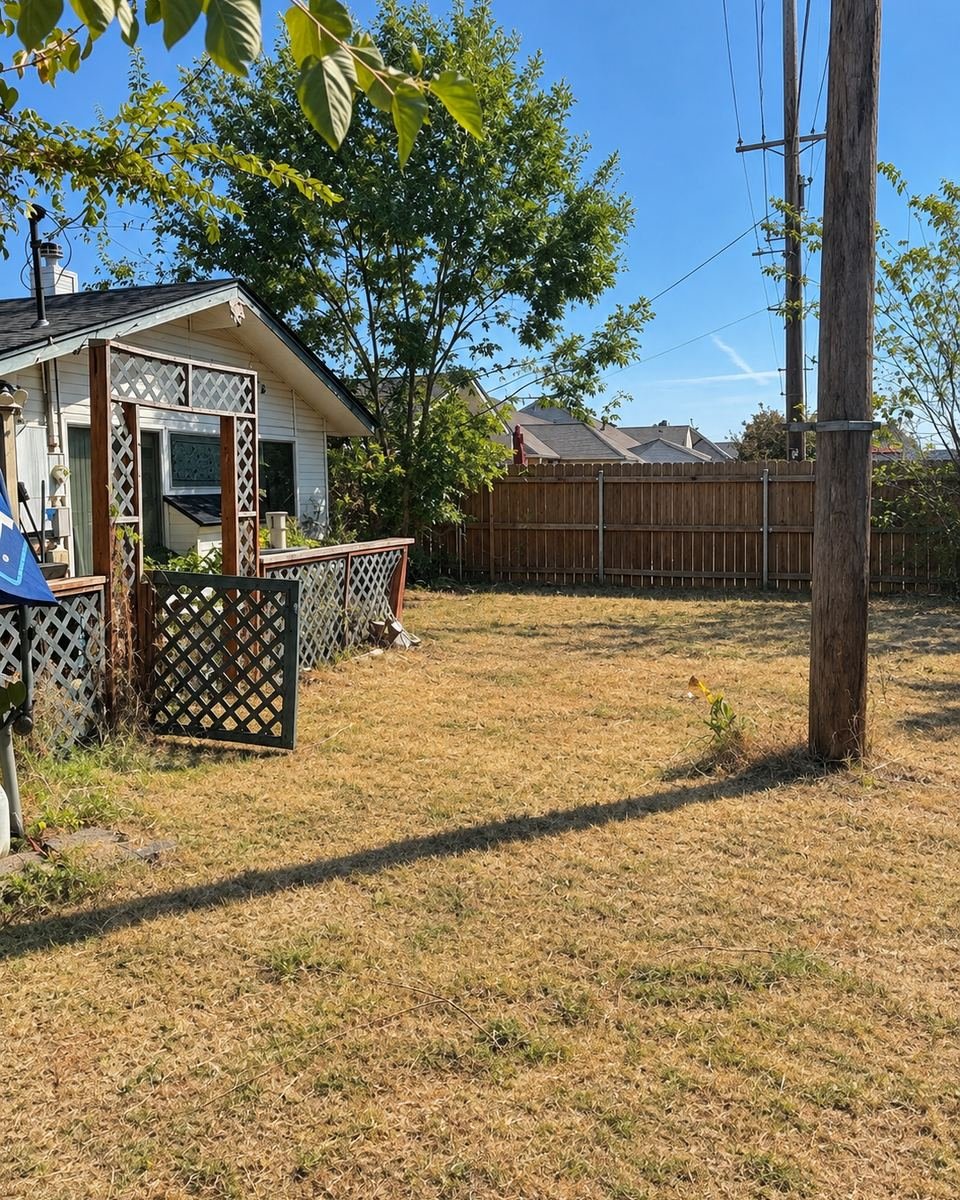 Backyard cleared of overgrowth and mowed