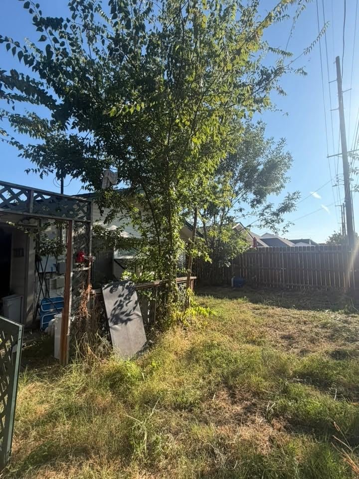 Before: overgrown backyard with a tree crowding the fence and patio